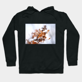 winter flowers Hoodie